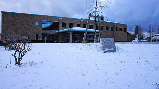 図書館前の広場が雪で真っ白